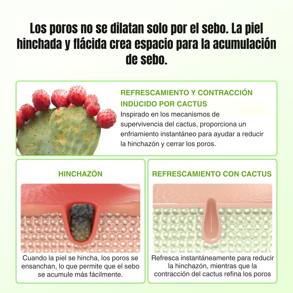 BÁLSAMO MULTIUSOS CACTOX PARA EL ALIVIO DE POROS